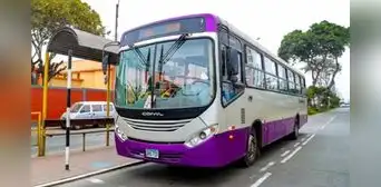 Corredor Morado prepara ampliación en su servicio regular: este sería su nuevo paradero final Corredor Morado prepara ampliación en su servicio regular: este sería su nuevo paradero final