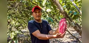 MIDAGRI: Perú superó los US$15.000 millones en agroexportaciones al cierre del 2025
