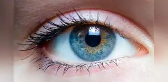 Científicos descubren que una bacteria común en los ojos estaría relacionada con el avance del Alzheimer y demencia