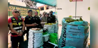 PNP incauta más de 500 explosivos que serían destinados a organizaciones criminales en La Libertad PNP incauta más de 500 explosivos que serían destinados a organizaciones criminales en La Libertad