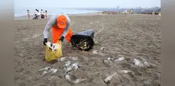 Defensoría rechaza cierre temporal de playa Agua Dulce: “Son bienes de dominio público” Defensoría rechaza cierre temporal de playa Agua Dulce: “Son bienes de dominio público”
