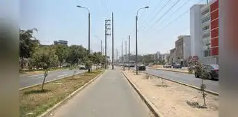 Lima, la ciudad con menos árboles de Sudamérica: casi cinco veces menos áreas verdes de lo que necesita Lima, la ciudad con menos árboles de Sudamérica: casi cinco veces menos áreas verdes de lo que necesita