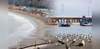 Playa Agua Dulce amanece limpia y con aves, pero Chorrillos evaluará su nuevo cierre si persiste la basura Playa Agua Dulce amanece limpia y con aves, pero Chorrillos evaluará su nuevo cierre si persiste la basura