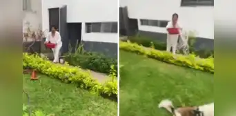 Mujer lanza agua con lejía a joven que paseaba a sus perros en parque de La Molina: “No le gusta que los animales pasen frente a su casa” Mujer lanza agua con lejía a joven que paseaba a sus perros en parque de La Molina: “No le gusta que los animales pasen frente a su casa”