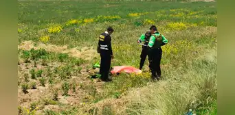 Encuentran sin vida a un hombre en sembrío de papas en Juliaca: investigan presunto atropello Encuentran sin vida a un hombre en sembrío de papas en Juliaca: investigan presunto atropello