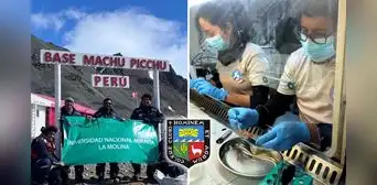 Investigadores peruanos de la UNALM llegan a la Antártida para buscar compuestos anticancerígenos en una misión científica única