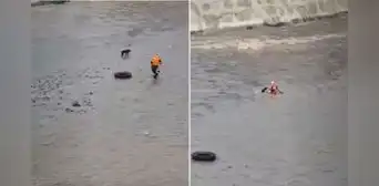 Rescatista y el perrito que intentaba salvar son arrastrados por fuerte caudal de río Rímac