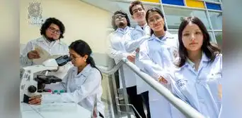 Estudiantes de la UNMSM ganan oro en hackathon con diseño de bacteria que descontamina aguas con plomo Estudiantes de la UNMSM ganan oro en hackathon con diseño de bacteria que descontamina aguas con plomo