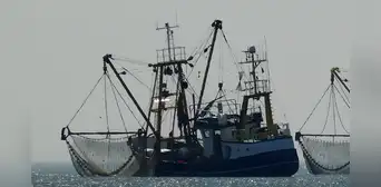 Perú propone reglas para impedir sobrepesca  de la pota por parte de flotas extranjeras
