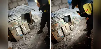 Tacna: rescatan a menor de 11 años que dormía en una casa de un perro Tacna: rescatan a menor de 11 años que dormía en una casa de un perro