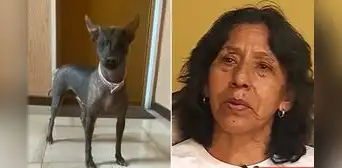 Tras la muerte de su hija embarazada en Egipto, madre peruana busca traer de vuelta a su mascota: "Es parte de nuestra vida"