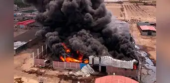 Gigantesco incendio destruye planta de olivo en La Yarada, Tacna: siniestro dejó dos heridos y pérdidas de más de S/500.000