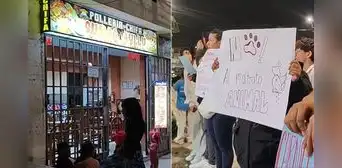 Investigan a dueña de pollería por muerte de perrita callejera en Ayacucho: habría sido atacada con arma blanca tras buscar alimentos