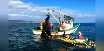 Produce refuerza control de pesca de jurel y bonito para proteger recursos marinos Produce refuerza control de pesca de jurel y bonito para proteger recursos marinos