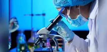 Nuevo estudio revela que el envejecimiento comienza antes de lo que se pensaba y afecta a las células de todo el cuerpo Nuevo estudio revela que el envejecimiento comienza antes de lo que se pensaba y afecta a las células de todo el cuerpo