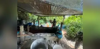 Desmantelan 155 narco laboratorios en distintas regiones del país Desmantelan 155 narco laboratorios en distintas regiones del país