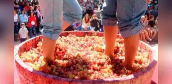 Confirman día no laborable en región Ica este viernes 13 de marzo por Festival Internacional de la Vendimia Confirman día no laborable en región Ica este viernes 13 de marzo por Festival Internacional de la Vendimia