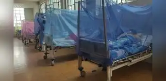 Dengue en Lambayeque: reportan 3 muertes en lo que va de 2026 Dengue en Lambayeque: reportan 3 muertes en lo que va de 2026