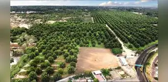 Violencia y tráfico tierras: los principales problemas que enfrentan los iqueños Violencia y tráfico tierras: los principales problemas que enfrentan los iqueños