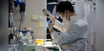 Japón revoluciona la medicina regenerativa al aprobar los primeros tratamientos para el corazón y el Parkinson