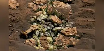 El rover Curiosity de la NASA abrió una roca en Marte y reveló un elemento esencial para la vida El rover Curiosity de la NASA abrió una roca en Marte y reveló un elemento esencial para la vida
