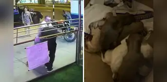 Médico cirujano agrede brutalmente a veterinario que lo confrontó por abandonar ocho cachorros en Surco Médico cirujano agrede brutalmente a veterinario que lo confrontó por abandonar ocho cachorros en Surco