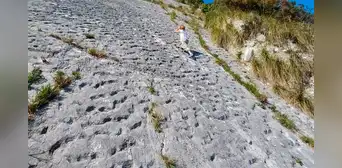Unos escaladores italianos descubrieron por accidente pruebas de una estampida de tortugas marinas de hace 80 millones de años