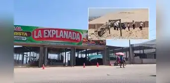 Tacna: hallan restos humanos dentro de descampado de mercado de frutas
