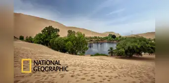 Huacachina es destacado por National Geographic como uno de los oasis más bellos del mundo Huacachina es destacado por National Geographic como uno de los oasis más bellos del mundo