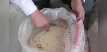 Agricultores peruanos alertan que arroz asiático con plaga se estaría mezclando con la producción nacional