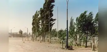 Otoño 2026 llega con fuerza: Senamhi alerta vientos de hasta 46 km/h en la costa peruana