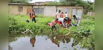Minsa activa alerta epidemiológica por leptospirosis: Se elevan a más de 1.000 los casos en Perú Minsa activa alerta epidemiológica por leptospirosis: Se elevan a más de 1.000 los casos en Perú