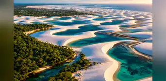 Choque de 'dos mundos' en Sudamérica: un lugar único donde un inmenso bosque se une a un desierto blanco con lagunas cristalinas Choque de 'dos mundos' en Sudamérica: un lugar único donde un inmenso bosque se une a un desierto blanco con lagunas cristalinas