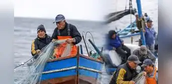 Produce alista créditos especiales para pescadores ante Fenómeno de El Niño Produce alista créditos especiales para pescadores ante Fenómeno de El Niño