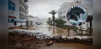 Advierten Niño Godzilla en Perú: se intensificará el calor y persistirá hasta invierno Advierten Niño Godzilla en Perú: se intensificará el calor y persistirá hasta invierno