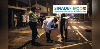 Sistema que registra defunciones diarias no se actualiza desde hace cuatro días, advierte experto Sistema que registra defunciones diarias no se actualiza desde hace cuatro días, advierte experto