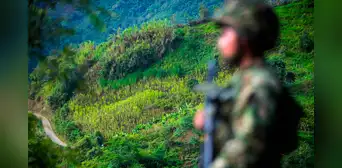 Ejercito de Colombia rescató en la selva a cinco niños ocultos para no ser reclutados por las FARC
