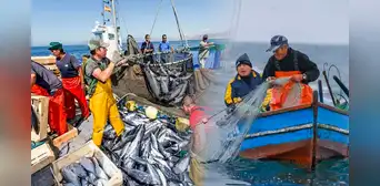 Exportaciones pesqueras para consumo humano directo crecen 125.1% en enero Exportaciones pesqueras para consumo humano directo crecen 125.1% en enero