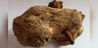 Descubrimiento arqueológico revela la "mayor evidencia" que confirma la existencia de la crucifixión en la antigua Roma Descubrimiento arqueológico revela la "mayor evidencia" que confirma la existencia de la crucifixión en la antigua Roma