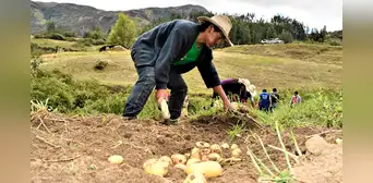 BCR: actividad agropecuaria creció 4% durante enero BCR: actividad agropecuaria creció 4% durante enero