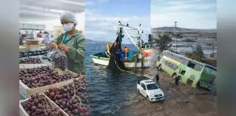 Fenómeno de El Niño: pesca, agroexportación y logística fluvial en riesgo durante la segunda mitad de este año Fenómeno de El Niño: pesca, agroexportación y logística fluvial en riesgo durante la segunda mitad de este año
