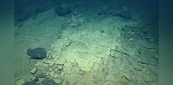 Científicos se sorprendieron tras un descubrimiento a 3.000 metros de profundidad: “un camino de ladrillos amarillos" en el fondo oceánico Científicos se sorprendieron tras un descubrimiento a 3.000 metros de profundidad: “un camino de ladrillos amarillos" en el fondo oceánico