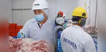 Perú obtiene autorización para exportar carne de ave y cerdo al mercado de Singapur