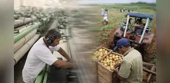INEI: producción nacional creció 3,68% en febrero por mayor actividad económica en comercio y construcción