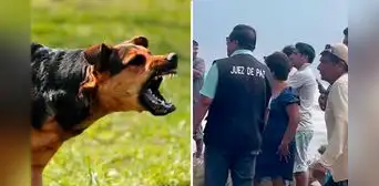Investigan muerte de pescador por presunto ataque de 12 perros en la playa de Santiago de Car en La Libertad