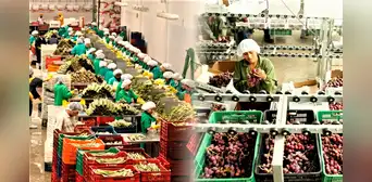 Perú: agroexportaciones suman US$2.220 millones en enero y febrero y crecen 6,7% Perú: agroexportaciones suman US$2.220 millones en enero y febrero y crecen 6,7%