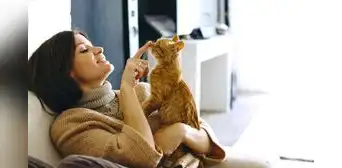 Un estudio confirma que hablarle a tu gato con voz infantil mejora su atención y fortalece el vínculo emocional