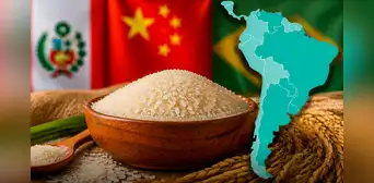 Ni Perú ni Panamá: el único país de América Latina en top 10 de producción y consumo de arroz en el mundo, detrás de China
