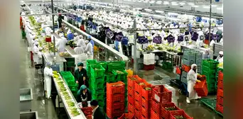 Perú encabeza crecimiento de exportaciones no tradicionales de los últimos cinco años en la región, según BCR Perú encabeza crecimiento de exportaciones no tradicionales de los últimos cinco años en la región, según BCR