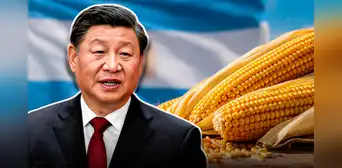 China compra maíz de un país de Sudamérica por primera vez en más de 10 años y proyectan que exportación supere 40 millones de toneladas China compra maíz de un país de Sudamérica por primera vez en más de 10 años y proyectan que exportación supere 40 millones de toneladas